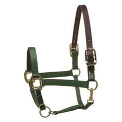 Perri's Safety Halter -Equestrian Sports Perri sSafetyHaltergreen