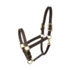 Perri's 1" Havana Turnout Halter -Equestrian Sports Perri sTurnoutHalter