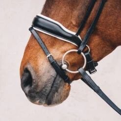 Schockemoehle Stanford Dressage Bridle -Equestrian Sports SchockemoehleStanford blackwhitesilver 2