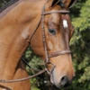 Arc De Triomphe Tribute Bridle With Raised Fancy Laced Reins 2 Arc De Triomphe Tribute Bridle With Raised Fancy Laced Reins -Equestrian Sports Tribute Bridle w Raised Fancy Laced Reins