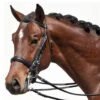 Bobby's Tack Padded Dressage Weymouth Double Bridle -Equestrian Sports bobbys932