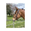 Jump'In Hackamore Bridle -Equestrian Sports jumpin9