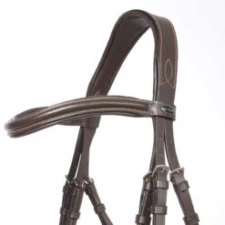 Kavalkade Ivy Dressage Bridle -Equestrian Sports kavivy5