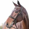 Horze Laelia Weymouth Dressage Bridle -Equestrian Sports leilahorze1