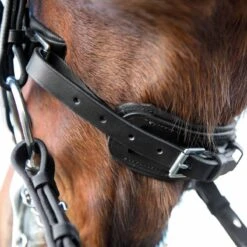 Horze Laelia Weymouth Dressage Bridle -Equestrian Sports leilahorze4
