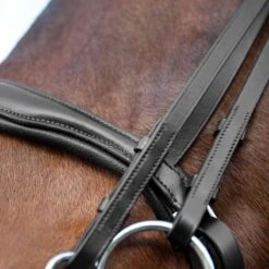 Horze Laelia Weymouth Dressage Bridle -Equestrian Sports leilahorze5