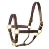 Perri's 1" Leather Padded Halter -Equestrian Sports perrispadded