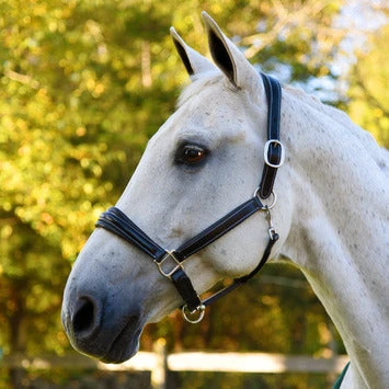 Red Barn Fancy Stitching Padded Leather Halter 3 Red Barn Fancy Stitching Padded Leather Halter