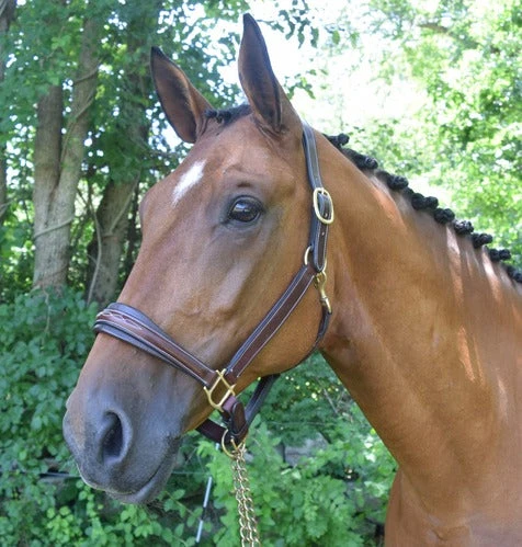 Red Barn Fancy Stitching Padded Leather Halter 4 Red Barn Fancy Stitching Padded Leather Halter - Image 2