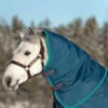 Rhino Turnout Hood -Equestrian Sports rhino hood lite 0g 600x640 1