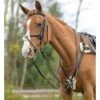 Shires 5-Point Padded Breastplate -Equestrian Sports shires
