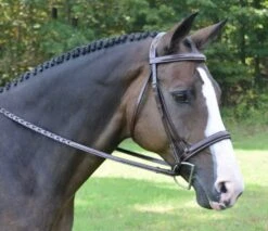 KL Select Red Barn Spirit Hunter Bridle